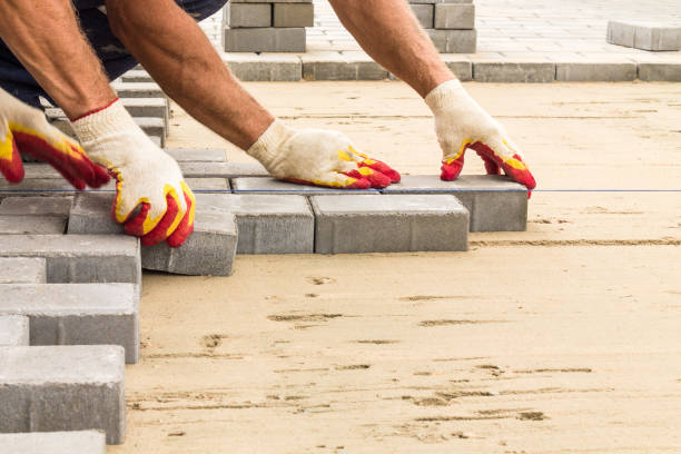 Best Local Driveway Pavers  in Occidental, CA