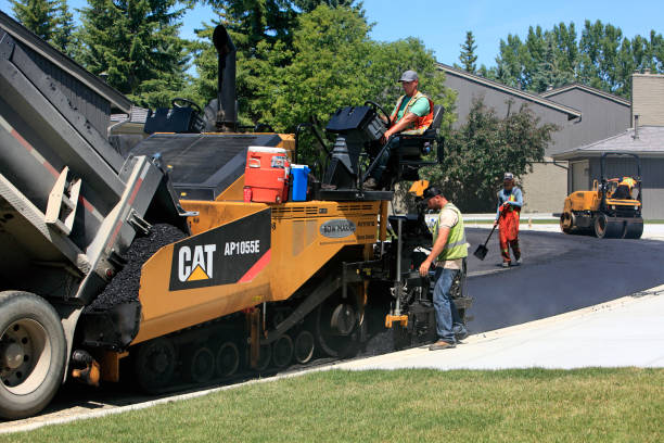 Best Driveway Paving Contractor  in Occidental, CA
